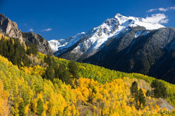 Wilson Peak, aspen photo