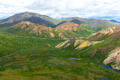 Denali's Coat of Many Colors