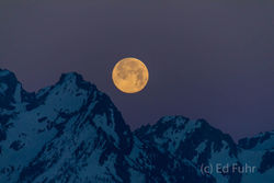 A Blue Moon
