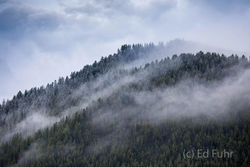 Signal Mountain Fog