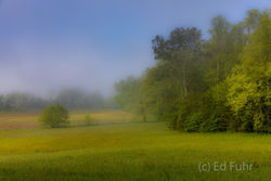Spring Impression in Cades Cove