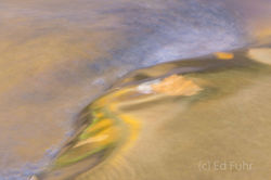 Reflections II 2016