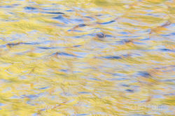 Reflections III 2016