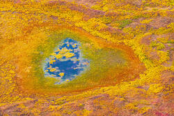 Denali's Prismatic Pools
