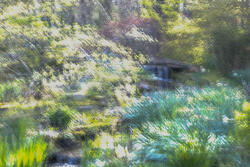 Multiple Exposure, impressions, abstract, garden, spring, 2026