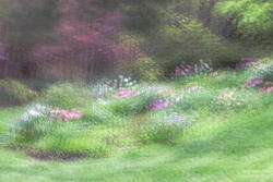 Multiple Exposure, impressions, abstract, garden, spring, 2026
