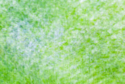 Multiple Exposure, impressions, abstract, garden, spring, 2026