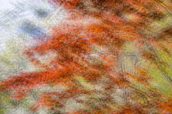 Multiple Exposure, impressions, abstract, garden, spring, 2026