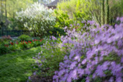 Multiple Exposure, impressions, abstract, garden, spring, 2026