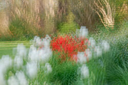 Multiple Exposure, impressions, abstract, garden, spring, 2026