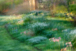 Multiple Exposure, impressions, abstract, garden, spring, 2026