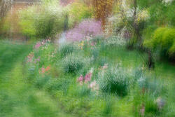 Multiple Exposure, impressions, abstract, garden, spring, 2026