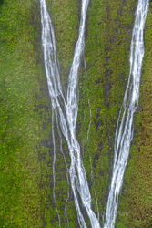 Waterfall Aerial