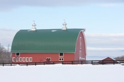 Red Barn in Green Springs