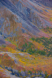 Fall in the Polychrome Mountains near Wyoming Hills