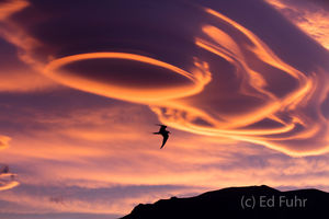 Lenticular Sunset