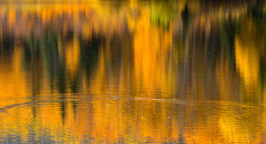 On Golden Pond, 2012