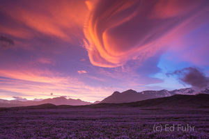 Sandstorm Sunset