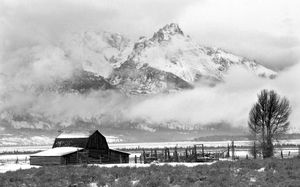 Mormon Row