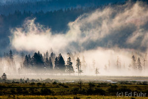 RIsing Fog