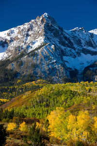 Autumn Splendor