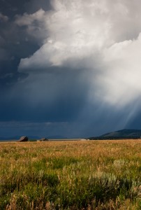 Stormy Skies