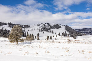 Where We Once Hiked