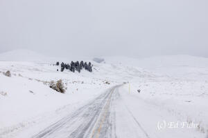 Whiteout
