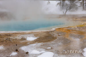 Silex Spring