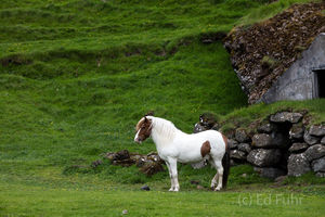 Standing Guard