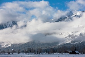 Winter Respite