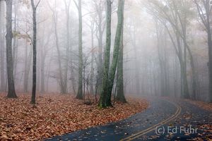 Fog on Lewis Mountain