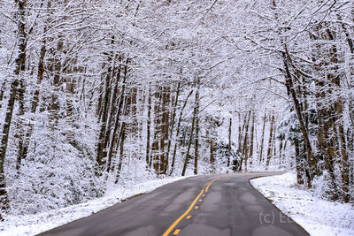 Laurel Creek Road in Snow