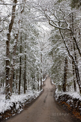 A Snowy Road to Church