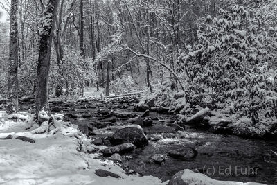 Abrams Creek and a Winter Picnic