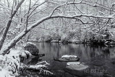 Little River in Snow II