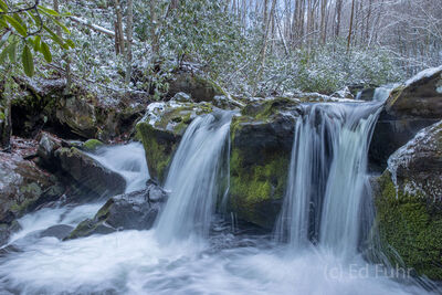 Winter's Grace