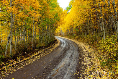 Around the Bend 