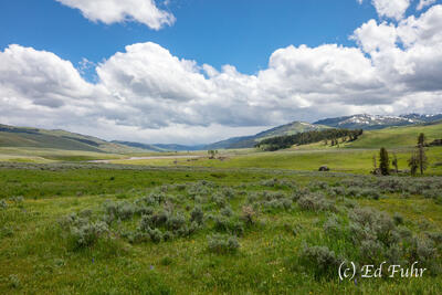 A Valley Hike