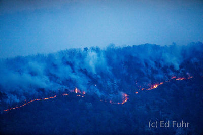 Smoky Advance