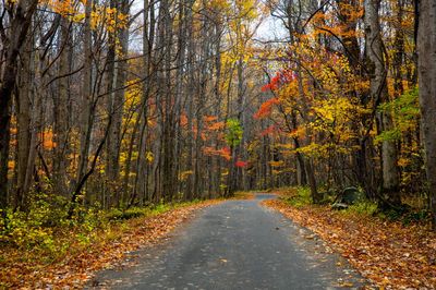 Smoky Mountain Autumn Drive