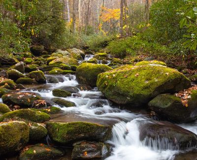 Roaring Fork Fall Stream