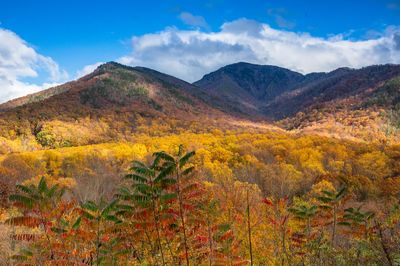 Mount Leconte Fall
