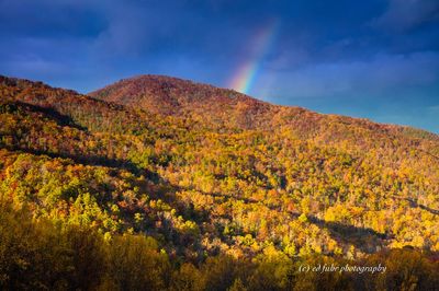 Maloney Overlook