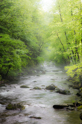 Little River Impression
