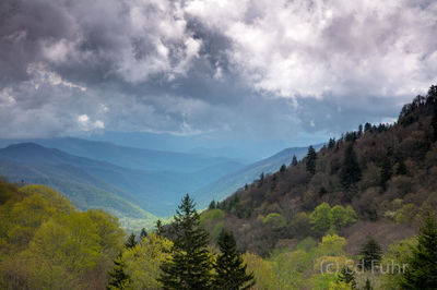 Newfound Gap, Spring