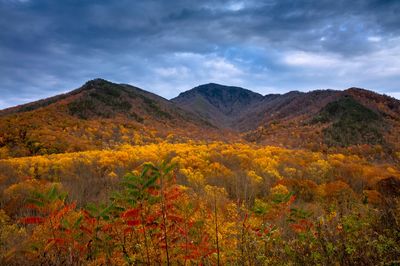 Autumn Spectacle at Campbell Overlook