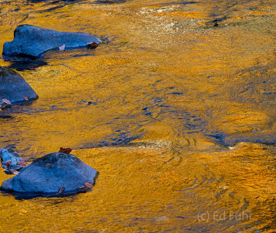 Autumn Reflections