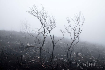 After the Fire