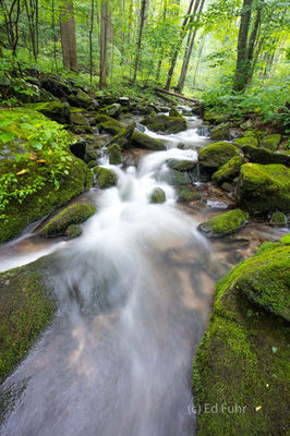 Green Cascade